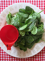 Spinach Bacon Salad